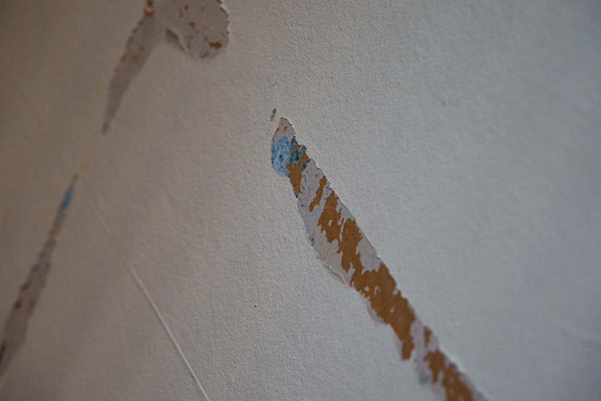 Flood Cleanup service in Portsmouth, VA